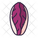 پیش‌نمایش فایل radicchio-8615284 از پک سبزیجات