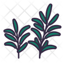 پیش‌نمایش فایل rosemary-8615286 از پک سبزیجات