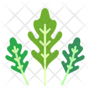 پیش‌نمایش فایل arugula-8615180 از پک سبزیجات