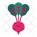پیش‌نمایش فایل beetroot-8615185 از پک سبزیجات