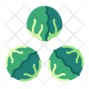 پیش‌نمایش فایل brussel-sprout-8615190 از پک سبزیجات
