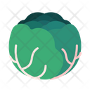 پیش‌نمایش فایل cabbage-8615191 از پک سبزیجات
