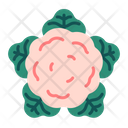 پیش‌نمایش فایل cauliflower-8615194 از پک سبزیجات