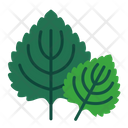 پیش‌نمایش فایل perilla-leaves-8615221 از پک سبزیجات