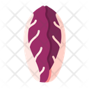 پیش‌نمایش فایل radicchio-8615224 از پک سبزیجات