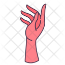 پیش‌نمایش فایل hands-gesture-8615000 از پک دست‌ها زنانه