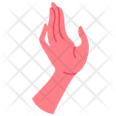 پیش‌نمایش فایل hands-gesture-8614977 از پک دست‌ها زنانه