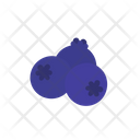 پیش‌نمایش فایل blueberry-8615038 از پک میوه