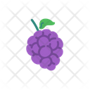 پیش‌نمایش فایل grape-8615043 از پک میوه