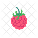 پیش‌نمایش فایل raspberry-8615064 از پک میوه