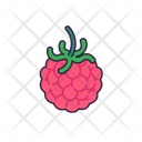 پیش‌نمایش فایل raspberry-8615100 از پک میوه