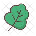 پیش‌نمایش فایل leaf-1509816 از پک غذا و نوشیدنی
