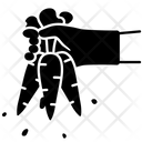 پیش‌نمایش فایل carrot-1733957 از پک کشاورزی و زراعت