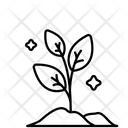 پیش‌نمایش فایل plant-1733913 از پک کشاورزی و زراعت