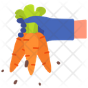 پیش‌نمایش فایل carrot-1733902 از پک کشاورزی و زراعت