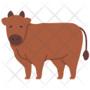 پیش‌نمایش فایل cow-1733884 از پک کشاورزی و زراعت