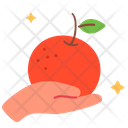 پیش‌نمایش فایل orange-1733875 از پک کشاورزی و زراعت