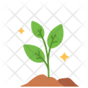 پیش‌نمایش فایل plant-1733894 از پک کشاورزی و زراعت