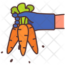 پیش‌نمایش فایل carrot-1733846 از پک کشاورزی و زراعت