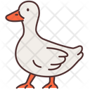 پیش‌نمایش فایل duck-1733863 از پک کشاورزی و زراعت