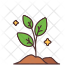 پیش‌نمایش فایل plant-1733838 از پک کشاورزی و زراعت