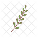 پیش‌نمایش فایل fern-14759089 از پک تزئینات سبد گل
