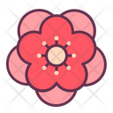 پیش‌نمایش فایل blossom-2027359 از پک سال نو چینی