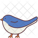 پیش‌نمایش فایل bird-2493522 از پک حیوانات