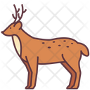 پیش‌نمایش فایل deer-2493506 از پک حیوانات