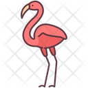 پیش‌نمایش فایل flamingo-2493521 از پک حیوانات