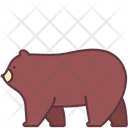 پیش‌نمایش فایل grizzly-bear-2493505 از پک حیوانات
