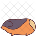 پیش‌نمایش فایل guinea-pig-2493519 از پک حیوانات