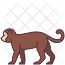 پیش‌نمایش فایل monkey-2493516 از پک حیوانات