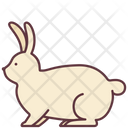 پیش‌نمایش فایل rabbit-2493534 از پک حیوانات