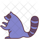 پیش‌نمایش فایل raccoon-2493514 از پک حیوانات
