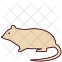 پیش‌نمایش فایل rat-2493513 از پک حیوانات