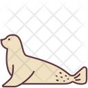 پیش‌نمایش فایل seal-2493526 از پک حیوانات