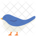 پیش‌نمایش فایل bird-2493558 از پک حیوانات