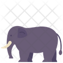 پیش‌نمایش فایل elephant-2493561 از پک حیوانات