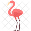 پیش‌نمایش فایل flamingo-2493557 از پک حیوانات