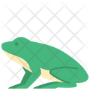 پیش‌نمایش فایل frog-2493573 از پک حیوانات