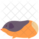 پیش‌نمایش فایل guinea-pig-2493555 از پک حیوانات