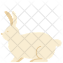 پیش‌نمایش فایل rabbit-2493570 از پک حیوانات