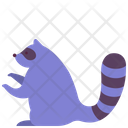 پیش‌نمایش فایل raccoon-2493550 از پک حیوانات