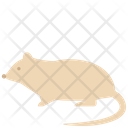 پیش‌نمایش فایل rat-2493549 از پک حیوانات