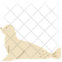 پیش‌نمایش فایل seal-2493562 از پک حیوانات