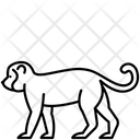 پیش‌نمایش فایل monkey-2493588 از پک حیوانات