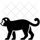پیش‌نمایش فایل monkey-2494238 از پک حیوانات