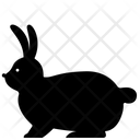 پیش‌نمایش فایل rabbit-2494256 از پک حیوانات