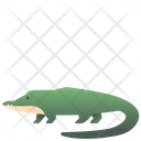 پیش‌نمایش فایل crocodile-2493632 از پک حیوانات